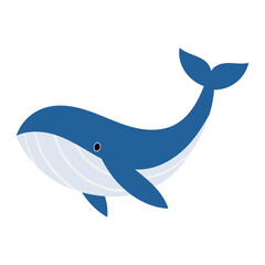 Illustration of a Blue Whale