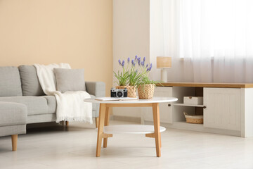 Wicker pots with beautiful Muscari flowers, photo camera and notebook on table in living room