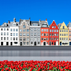 Fototapeta premium A row of colorful historic houses stands before a vibrant tulip under a clear blue sky.