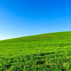 Obraz premium 広がる緑の丘と澄み渡る青空が作り出す、穏やかで清々しい風景。シンプルで自然豊かな風景が心を落ち着ける瞬間