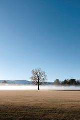 serene glacial valley in georgia enveloped in light morning mist