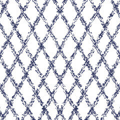A texture or grid with diagonal intersecting noisy stripes.