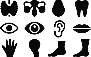 Visualize the Body: Dynamic Human Anatomy Icon Collection