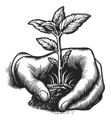 Hand Holding Young Plant in Engraving Style Illustration