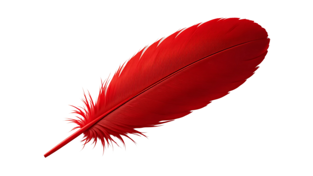 Isolated bright red feather close up macro shot on black background for art and design projects use on transparent background
