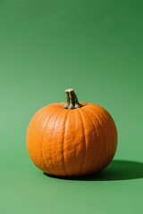 there is a small orange pumpkin sitting on a green surface
