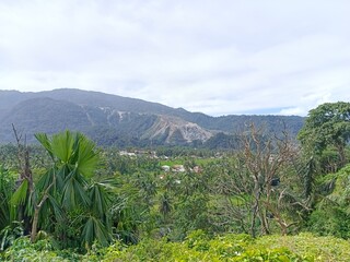 Mountain Landscape with Lush Green Vegetation and Village View