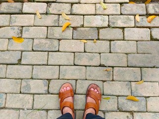 Person Standing on Brick Path with Fallen Leaves Wearing Sandals
