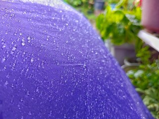 Water Droplets on Purple Fabric Surface After Rain