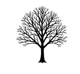 Obraz premium Bare tree silhouette. This image features a black silhouette of a leafless tree with detailed branches, embodying the stark beauty of nature in winter or autumn. Vector clipart illustration design.