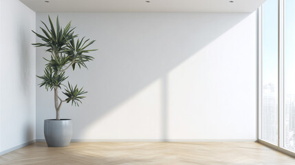 Potted plant in bright room with white walls and large side window
