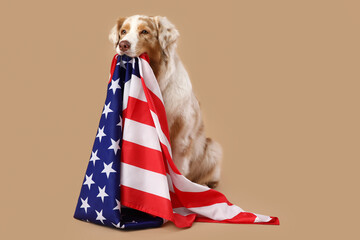 Fototapeta na wymiar Cute dog with USA flag on beige background. Independence Day celebration