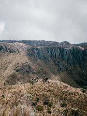 view of the mountains