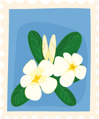 Plumeria flower stamp hand-drawn floral postage stamp vector illustration