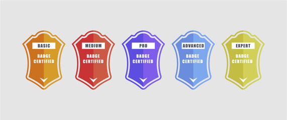 Showcase your learners' progress with these sleek, professional badge designs! This 5-level badge set (Basic to Expert) is perfect for online courses, training platforms, educational apps, or any .