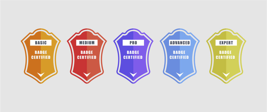 Showcase your learners' progress with these sleek, professional badge designs! This 5-level badge set (Basic to Expert) is perfect for online courses, training platforms, educational apps, or any .