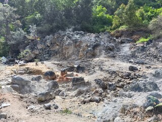 Steaming Volcanic Landscape with Lush Green Forest