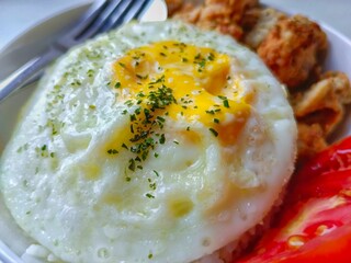 Egg Over Rice with Tomato and Fried Bites Close Up