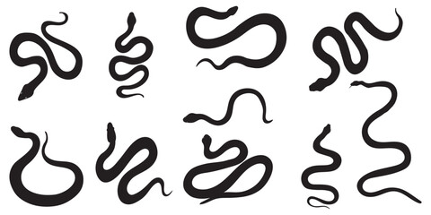 Snake icon, logo isolated on white background.