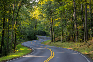 Fototapeta premium Serene Winding Road Through Lush Green Forest in Summer