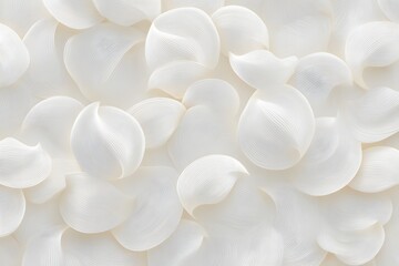 Delicate petals in symphony: A serene display of pristine, ethereal petals forming an abstract composition, evoking a sense of purity, and natural beauty.