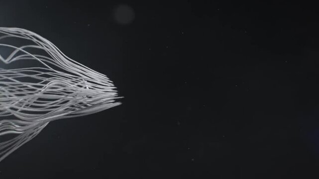 In the weaving process, cotton threads are intertwined and woven into cloth, and cotton cloths of different patterns are sewn together with sewing thread.3d animation.