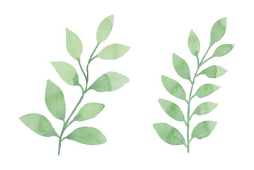 Watercolor leaves illustration set - green leaf branches collection for wedding, greetings, stationary, wallpapers, fashion, background. olive, green leaves, Eucalyptus etc
