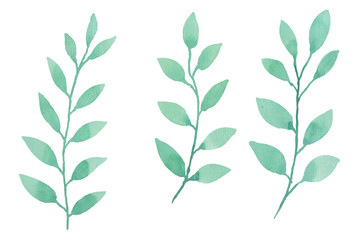Watercolor leaves illustration set - green leaf branches collection for wedding, greetings, stationary, wallpapers, fashion, background. olive, green leaves, Eucalyptus etc