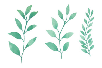 Watercolor leaves illustration set - green leaf branches collection for wedding, greetings, stationary, wallpapers, fashion, background. olive, green leaves, Eucalyptus etc