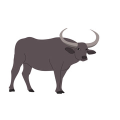 Illustration of buffalo