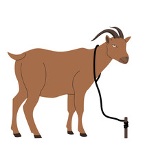 Illustration goat