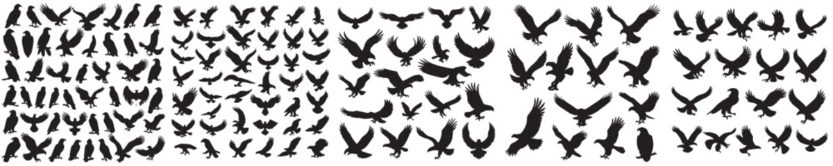 Obraz premium eagle silhouette icon vector selection