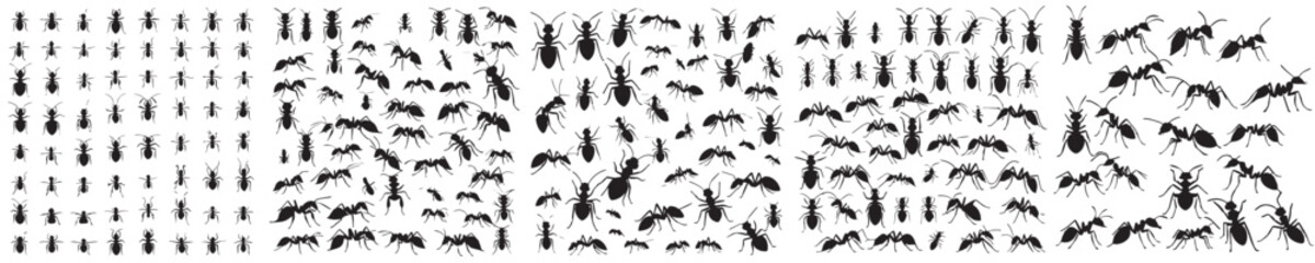 set of vector icons ant silhouettes