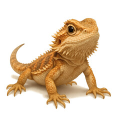 Naklejka premium Stylized Bearded Dragon