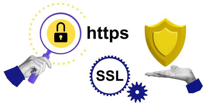Padlock, HTTPS, SSL gear icon, yellow shield, and human hands on white background, isolated style, symbolizing secure internet and data protection