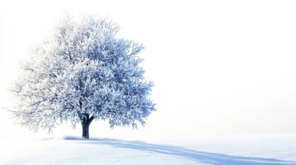 Frosty Winter Tree in a Snowy Landscape with Soft Light and Serene Atmosphere