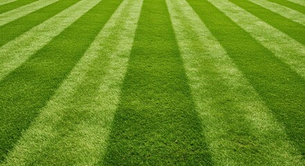 Freshly Cut Lawn with Striped Pattern and Vibrant Green Grass