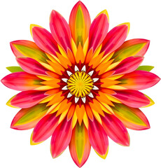 Radiant symmetrical flower with sharp petals, golden core, airy design.