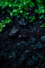 Intricate textures of damp earth, where tender shoots emerge with resilience