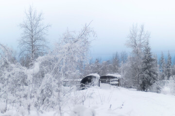 Bridge covered with snow in Fairbanks
