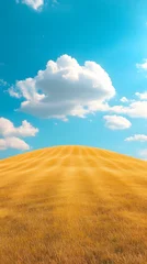 Gordijnen Golden Grass Hill Under a Sunny Blue Sky © Bitya