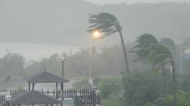 Major Hurricane Eyewall Wind Lashes Tropical Coastal Resort - Koinu