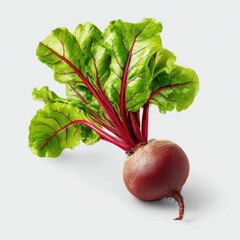 Fresh beet with green leaves isolated against a plain background