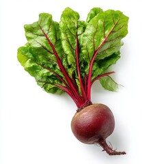 Fresh beet with green leaves isolated vegetable food photography