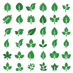 Collection of Green Leaf Icons
