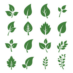 Collection of Green Leaf Icons