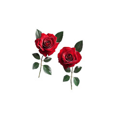 Two Lush Red Roses, Isolated on Transparent Background: Perfect for Valentine's Day, Romance, and Floral Designs.  High-Resolution Image Ideal for Print and Digital Media.