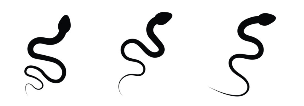 Snake Silhouette . snake silhouette in black.