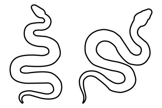 snake icon. snake icon with outline stroke.
