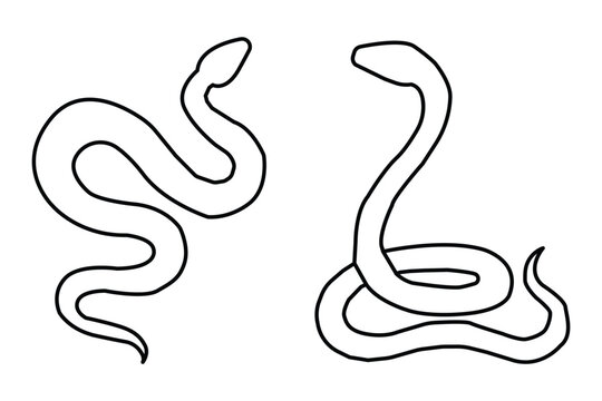 snake icon. snake icon with outline stroke.